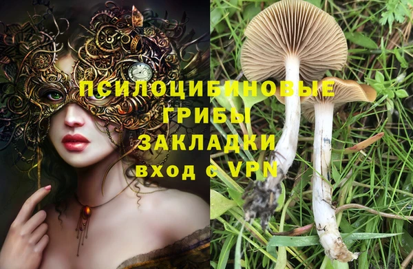 прущая мука Каменка