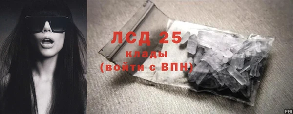 сатива Каменск-Шахтинский