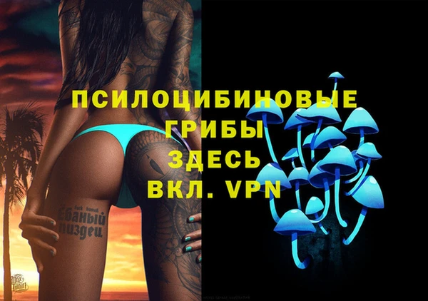 крисы Гусиноозёрск