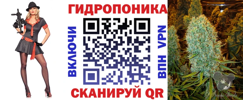 Бошки марихуана THC 21% наркота Карачев